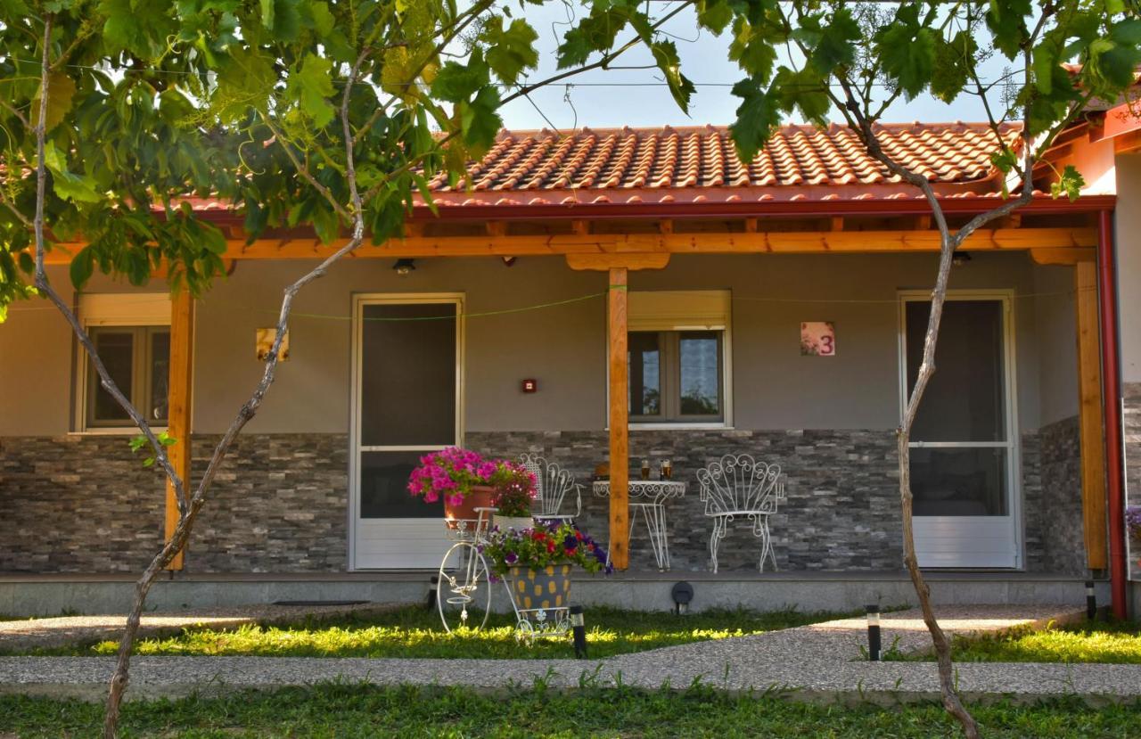 Ktima Mimoza Apartment Sykia Chalkidikis Exterior photo