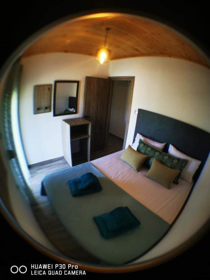 Ktima Mimoza Apartment Sykia Chalkidikis Exterior photo